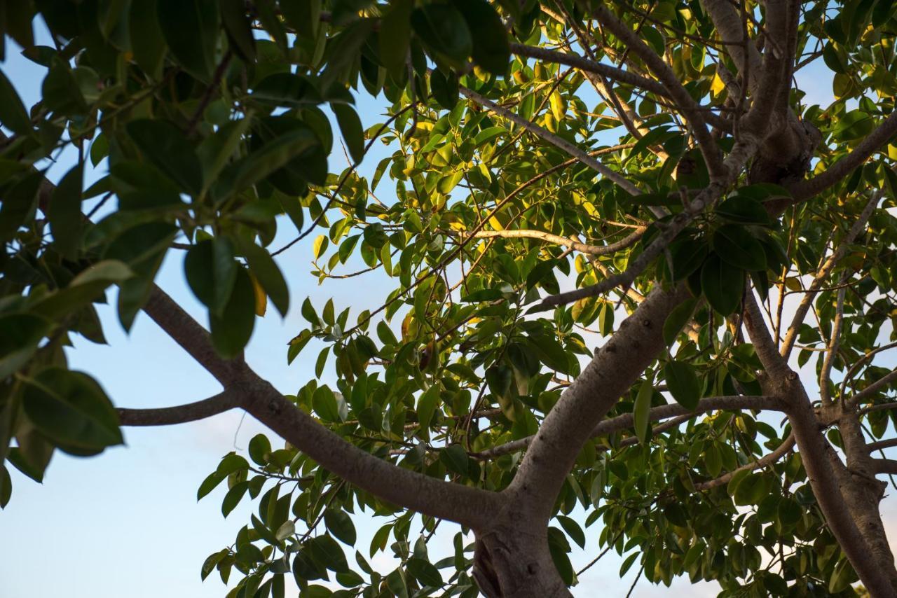 Apartamentos Vista Vedrá La Savina  Bagian luar foto
